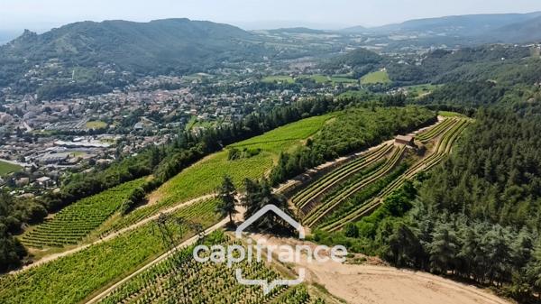 Propriété d’Exception – Domaine Privé en AOP Cornas // L’Art de Vivre, l’Élégance et la Nature en Harmonie