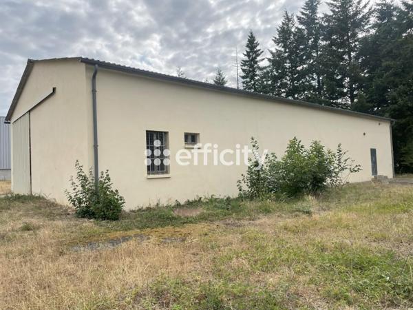 Local Commercial 4 pièces - 300 m²