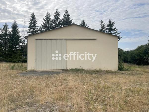 Local Commercial 4 pièces - 300 m²