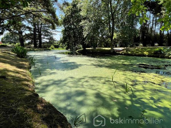 Maison contemporaine de 156 m²