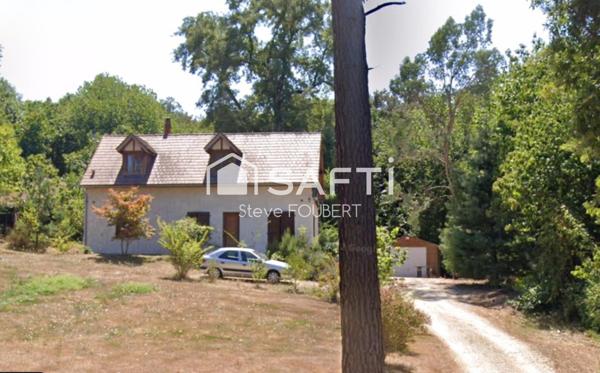 nichet au coeur des bois dans un environnement calme