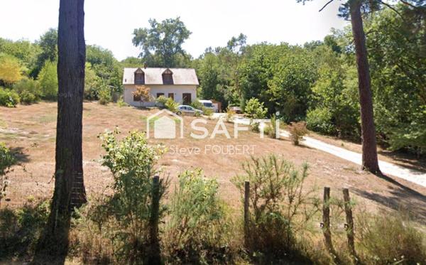 nichet au coeur des bois dans un environnement calme