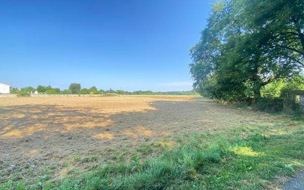 Terrain à vendre    Albias