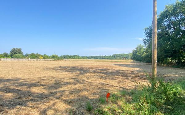 Terrain à vendre    Albias