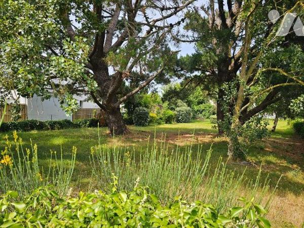Secteur de Port Mer à Cancale, à 500 mètres de la plage, au calme, à vendre terrain constructib...