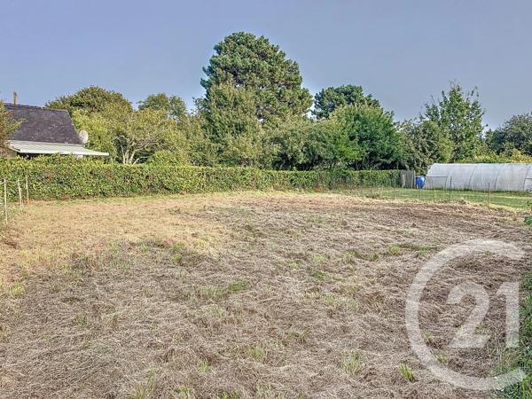 Terrain à vendre  500 m 2   ST GILDAS DE RHUYS  - 56