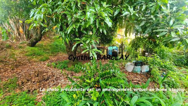 Maison à LA TRINITE (97220)