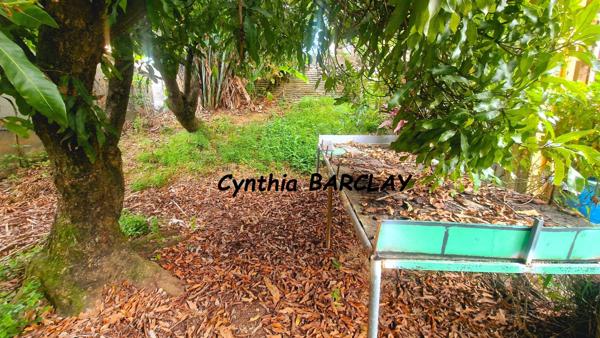 Maison à LA TRINITE (97220)