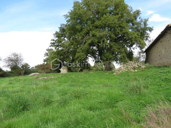 Maison ancienne de 160 m²