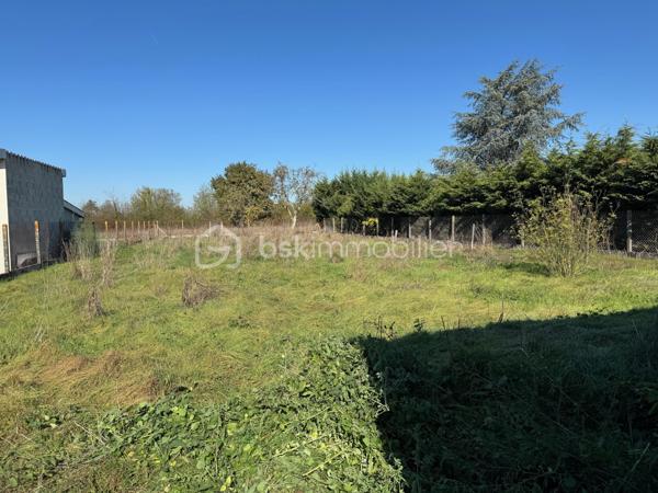 Local d activites de 100 m²