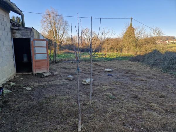 Terrain à vendre à Cognac-la-Forêt (87310) - Haute-Vienne