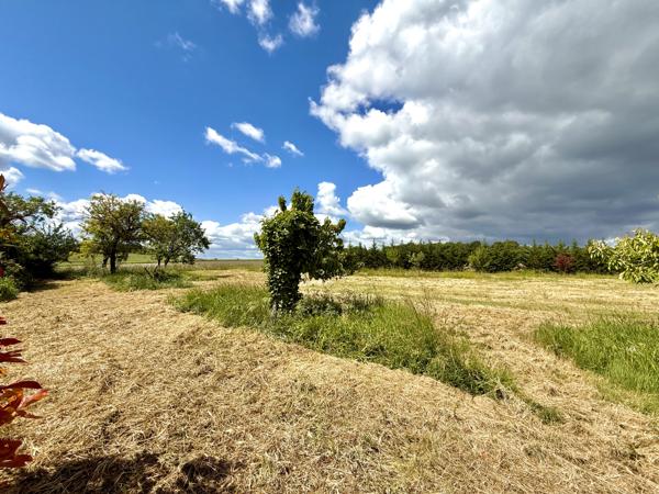 Maison à vendre à Mouterre-Silly (86200) - Vienne