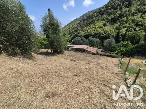 Terrain à vendre 802 m² Gorbio