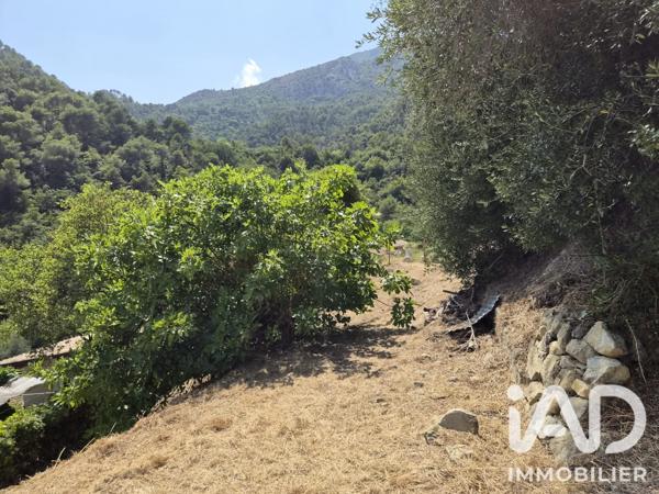 Terrain à vendre 802 m² Gorbio