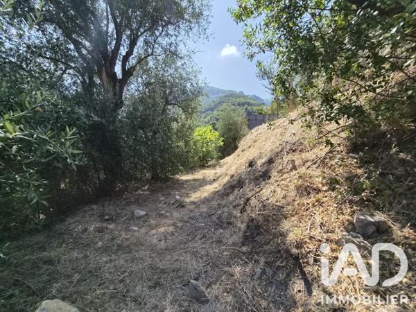 Terrain à vendre 802 m² Gorbio