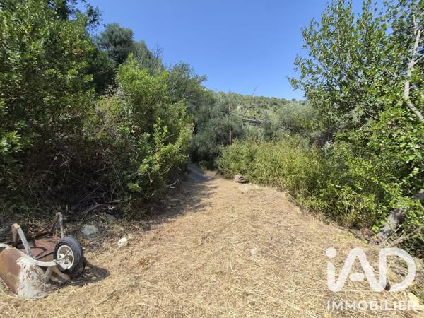 Terrain à vendre 802 m² Gorbio