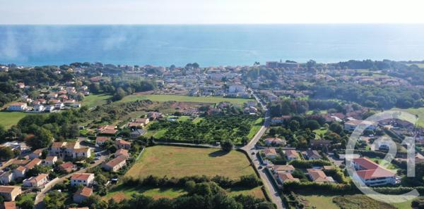 Appartement à vendre  2 pièces - 43 m2 SANTA LUCIA DI MORIANI - 202