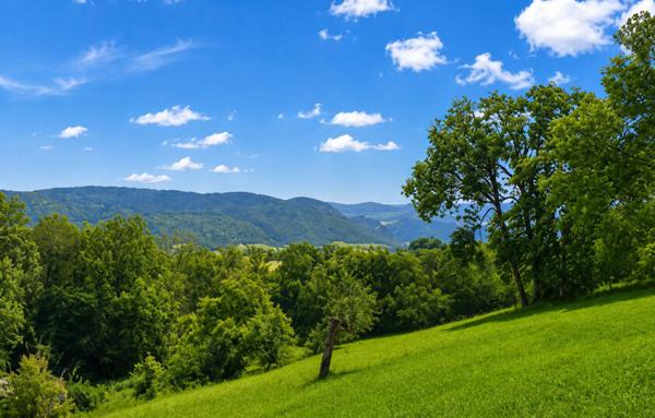 Terrain à Batir de 2 811 m²