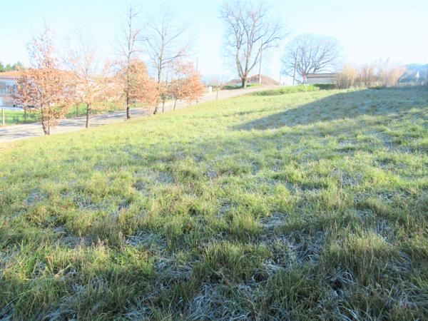 Achat terrain près de Moissac - 1143 m² - 39 000 €