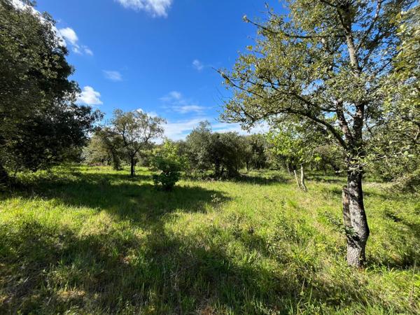 Terrain - 100 m²