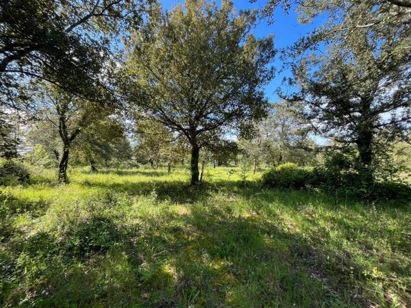 Terrain - 100 m²