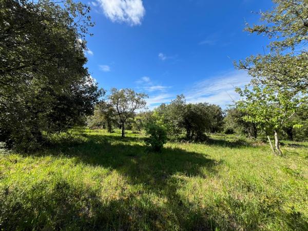 Terrain - 100 m²