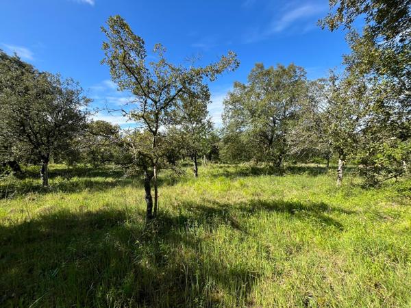 Terrain - 100 m²
