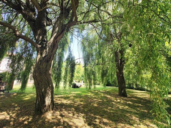 Maison à vendre 4 pièces de 157 m²