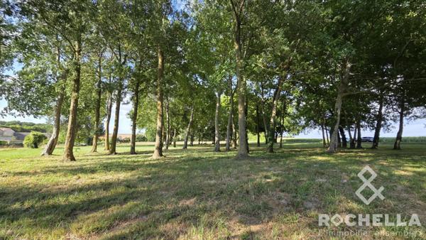 Terrain non constructible arboré