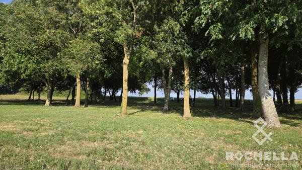 Terrain non constructible arboré