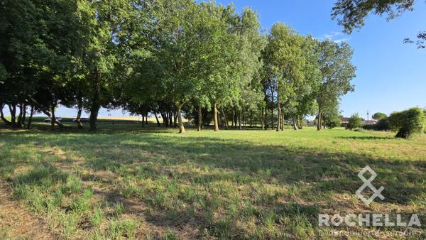 Terrain non constructible arboré