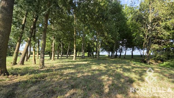 Terrain non constructible arboré