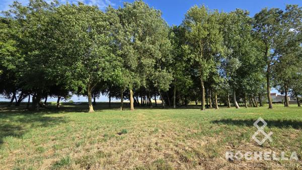 Terrain non constructible arboré