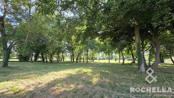 Terrain non constructible arboré