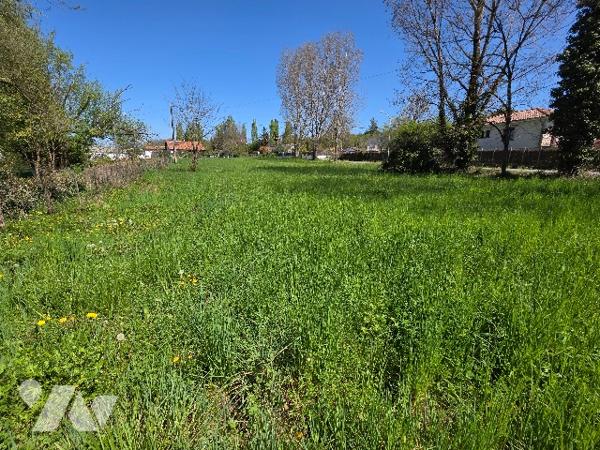 À vendre : terrain de 2300 m² à bâtir sur Casteljaloux.