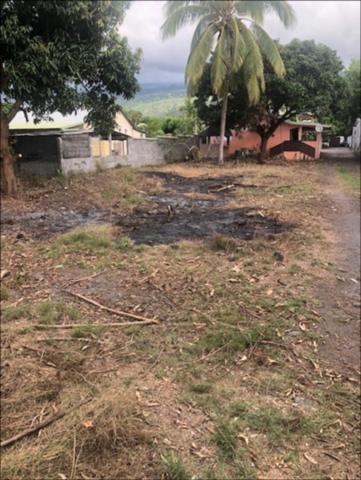 Terrain à vendre SAINT PAUL (974)