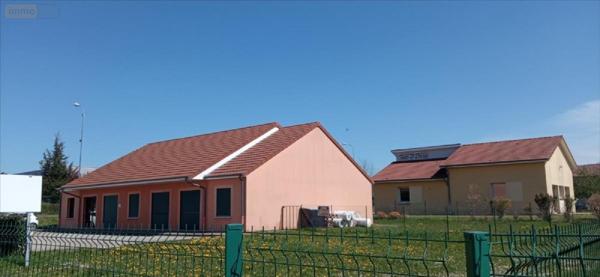 Local professionnel à vendre à Saints-Geosmes en Haute-Marne (52200), ref : 52020-04820