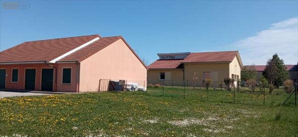 Local professionnel à vendre à Saints-Geosmes en Haute-Marne (52200), ref : 52020-04820