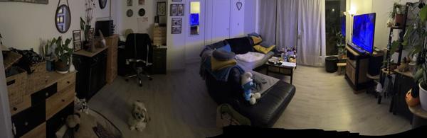 appartement centre ville epinal