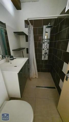 Appartement à louer 1 pièce 26.5m² Lyon (69009)