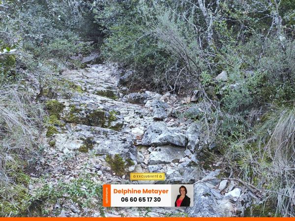 Terrain boisé 2 hectares à Varages, Provence Verte et Verdon