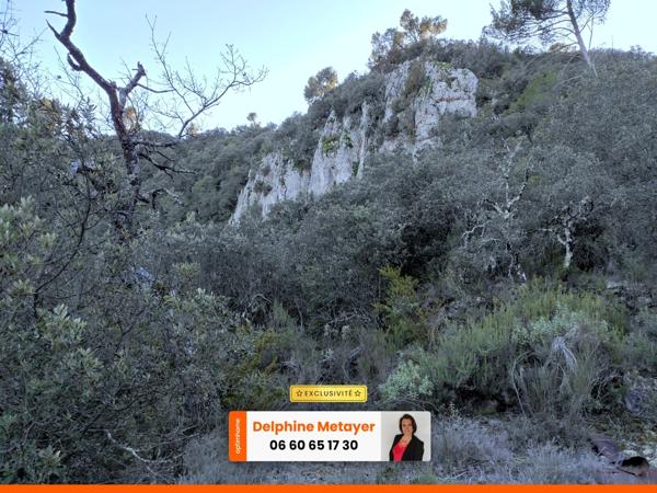 Terrain boisé 2 hectares à Varages, Provence Verte et Verdon