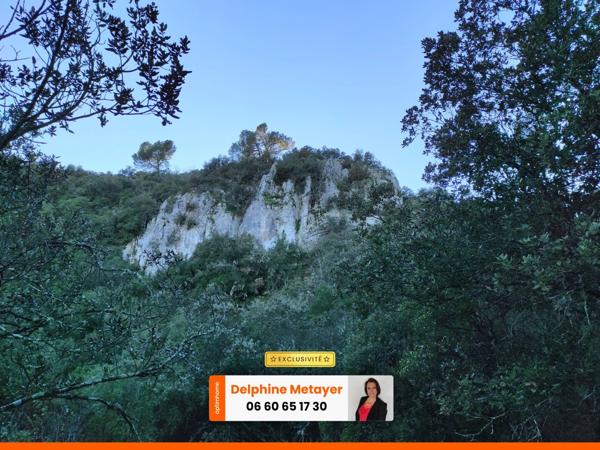 Terrain boisé 2 hectares à Varages, Provence Verte et Verdon