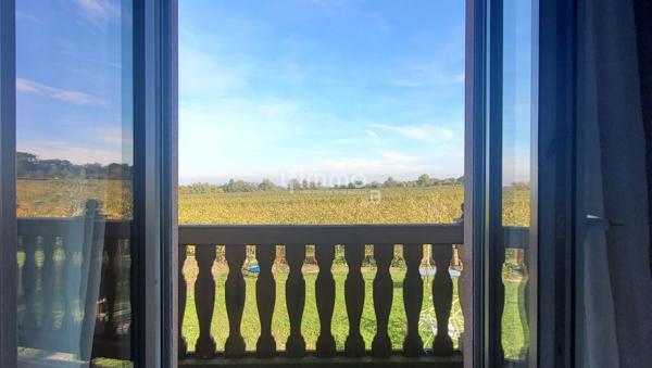 Maison familiale 192m2 - espace pro – vue vignes Ottrott