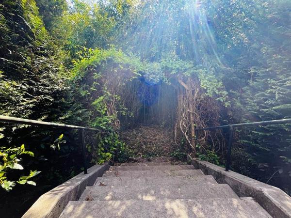 Maison à vendre |  Montlieu-la-Garde |  4 pièces | 95 m²