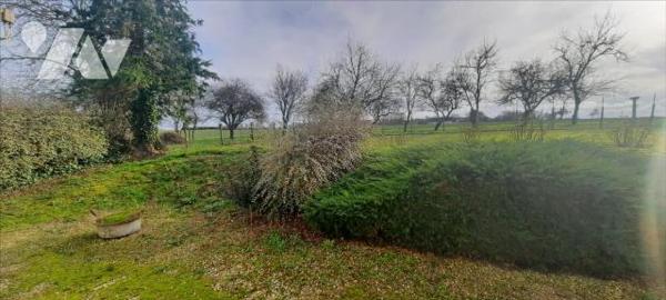 EXCLUSIF Vicq sur Nahon