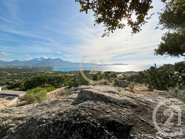 Maison à vendre  5 pièces - 146 m2 LUMIO - 202