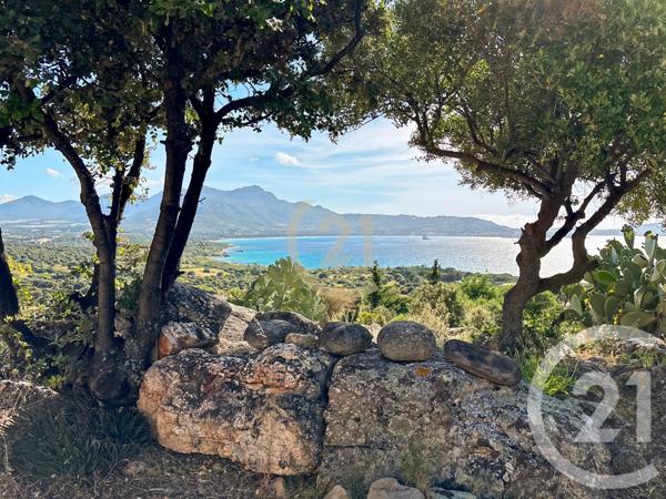 Maison à vendre  5 pièces - 146 m2 LUMIO - 202