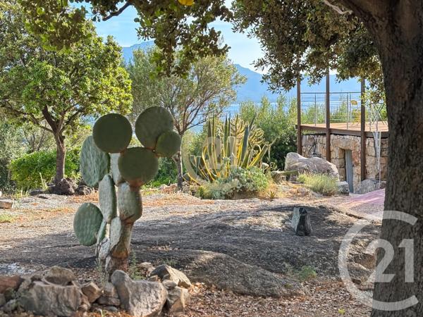 Maison à vendre  5 pièces - 146 m2 LUMIO - 202