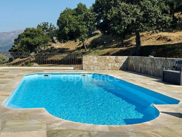 Propriete à vendre 6 pièces SANTA REPARATA DI BALAGNA (20)